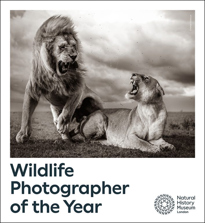 60° Wildlife Photographer of the Year – 22 Nov 2024 – 09 Feb 2025